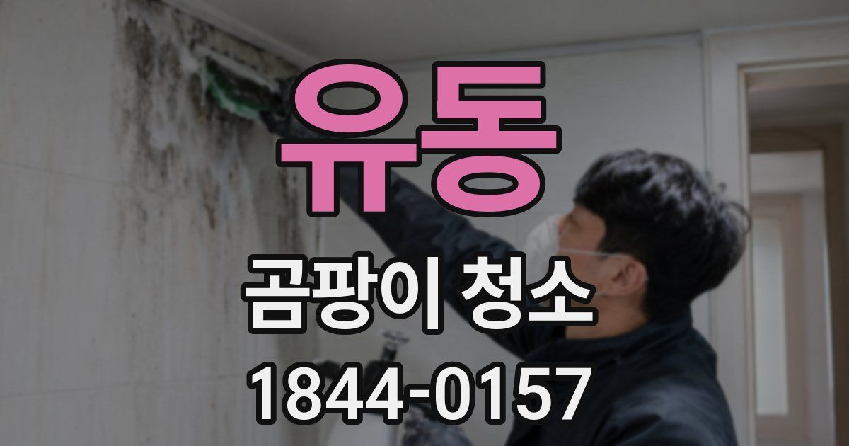 유동 곰팡이 청소