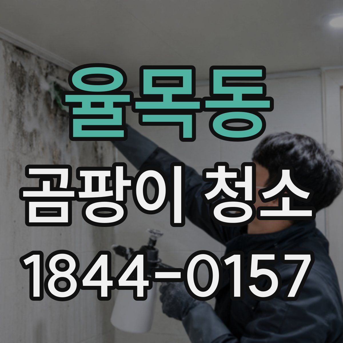 율목동 곰팡이 청소