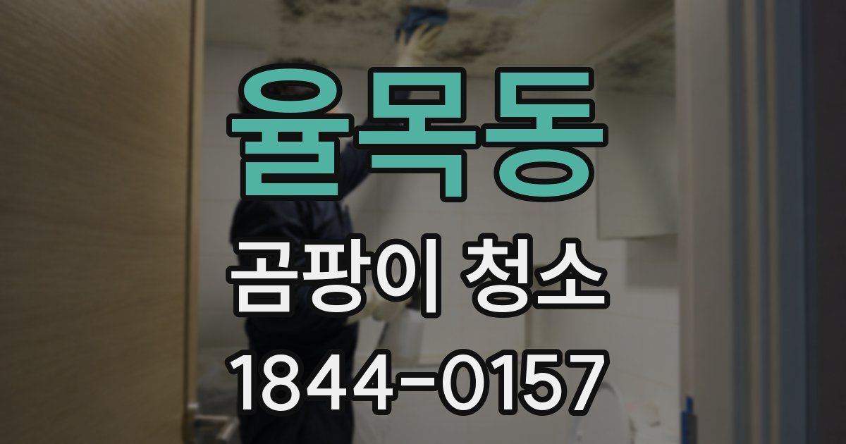 율목동 곰팡이 청소