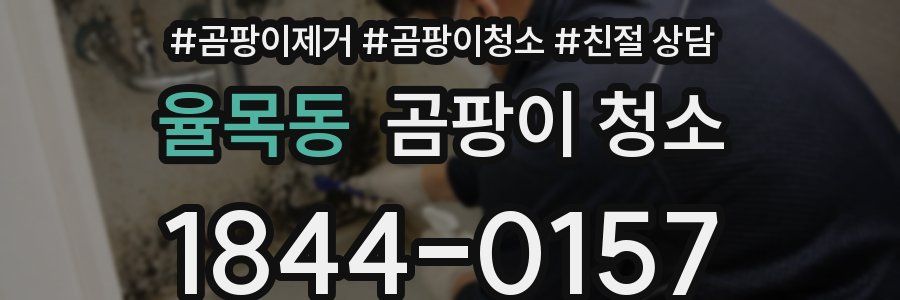율목동 곰팡이 청소