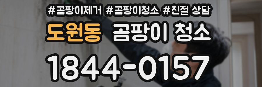 도원동 곰팡이 청소