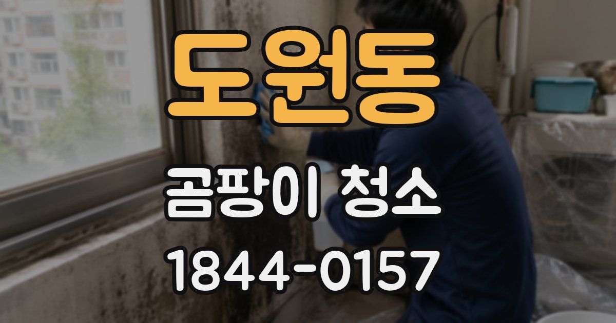 도원동 곰팡이 청소