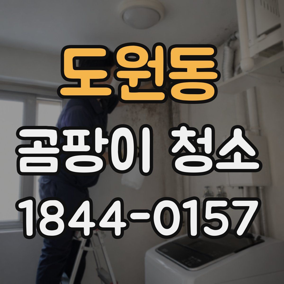 도원동 곰팡이 청소