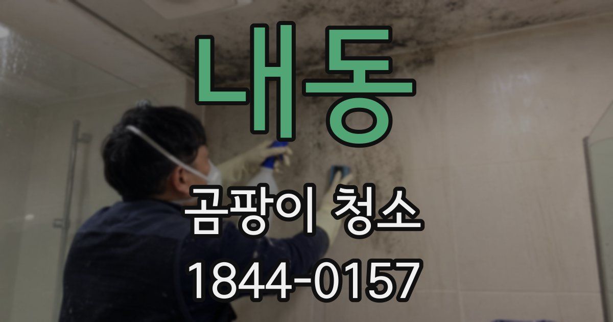 내동 곰팡이 청소