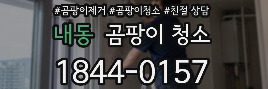 내동 곰팡이 청소