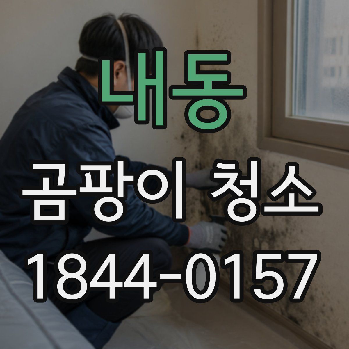내동 곰팡이 청소