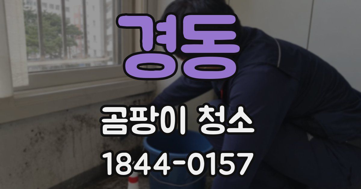 경동 곰팡이 청소