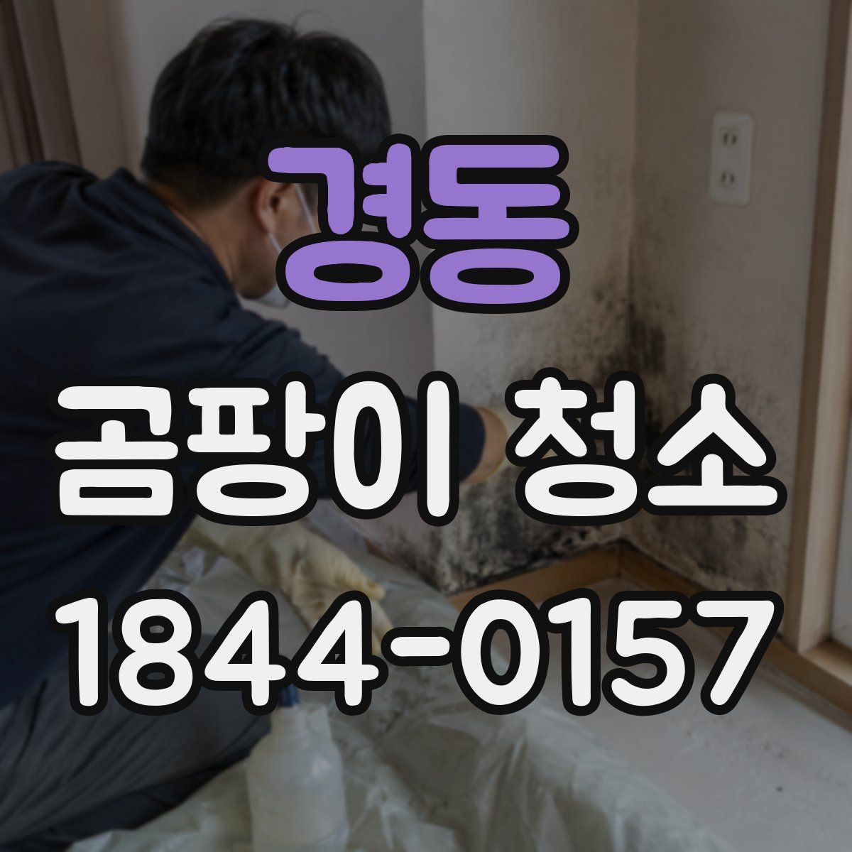 경동 곰팡이 청소