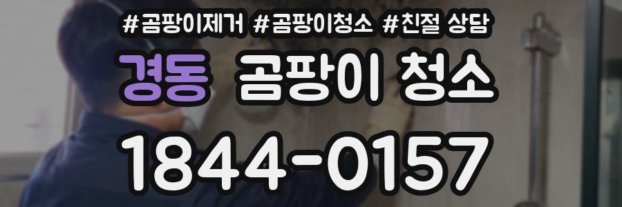 경동 곰팡이 청소