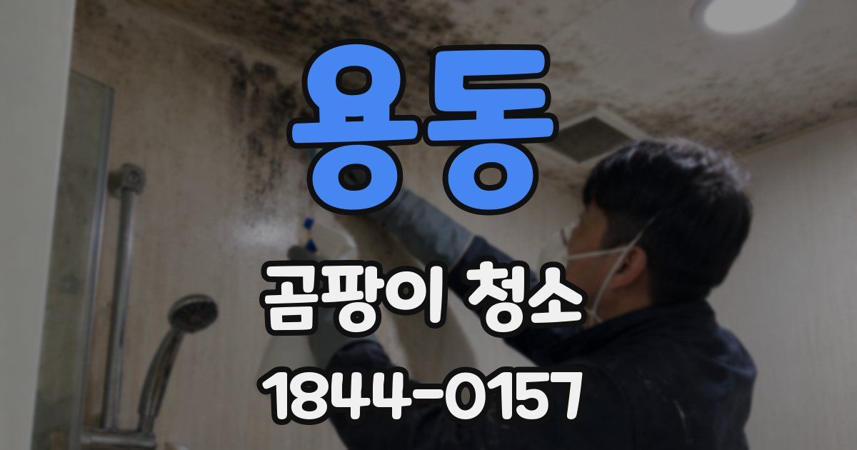 용동 곰팡이 청소