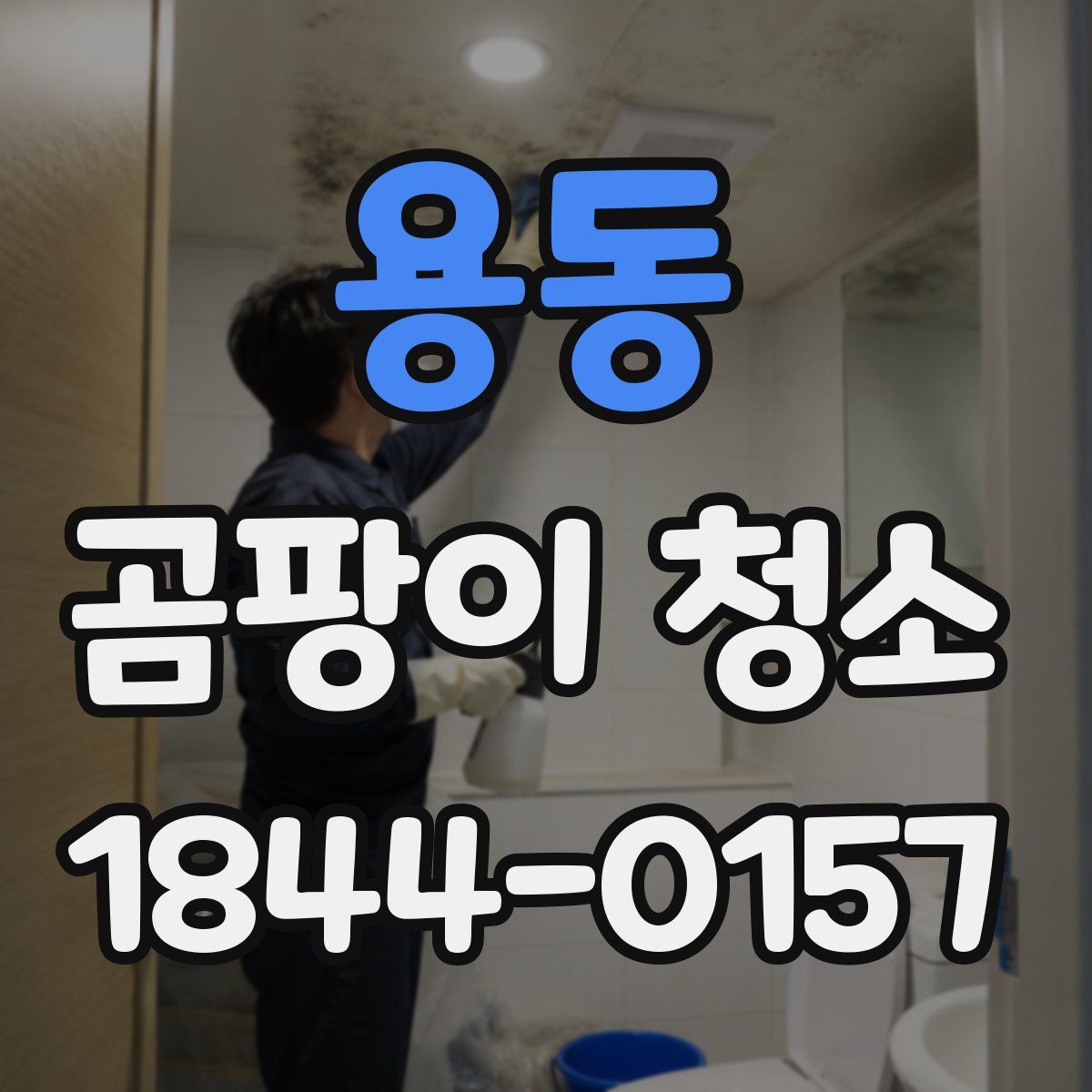 용동 곰팡이 청소