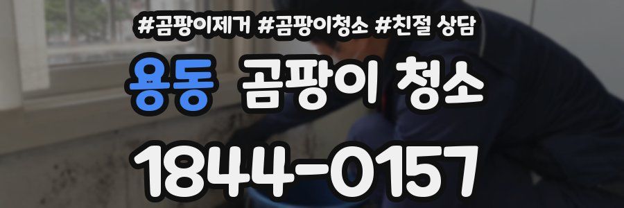 용동 곰팡이 청소