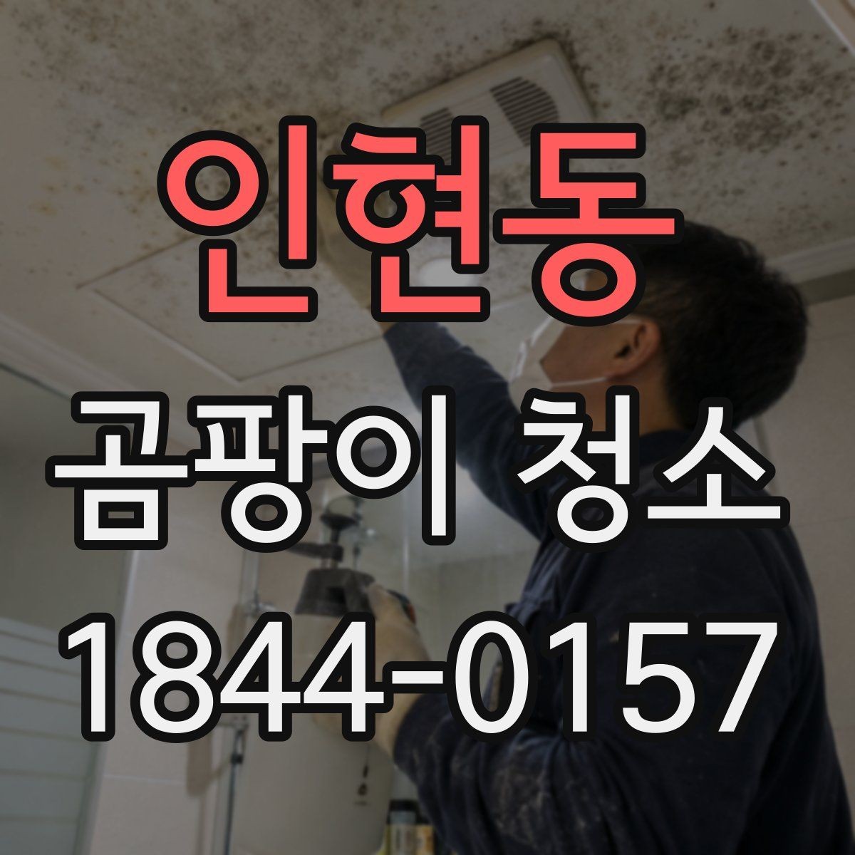 인현동 곰팡이 청소 관련 비용 상담 전에 볼 점
