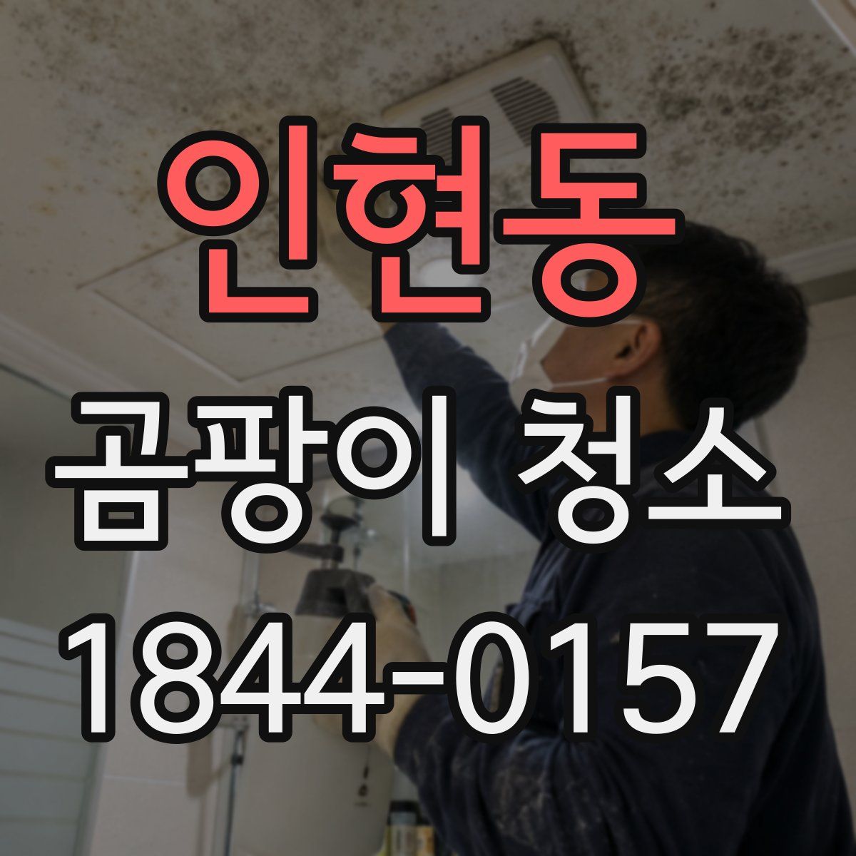 인현동 곰팡이 청소