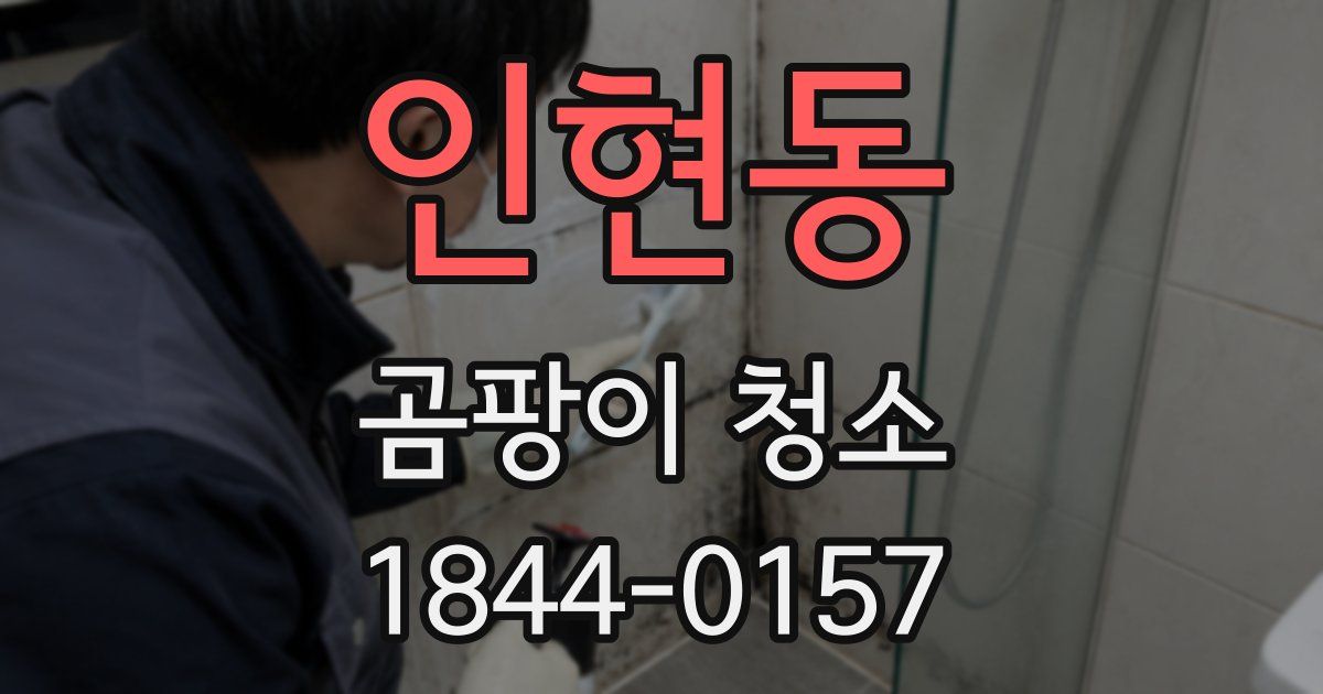 인현동 곰팡이 청소