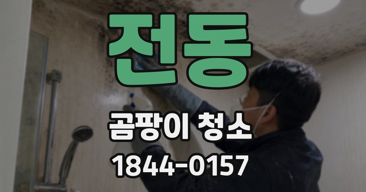 전동 곰팡이 청소
