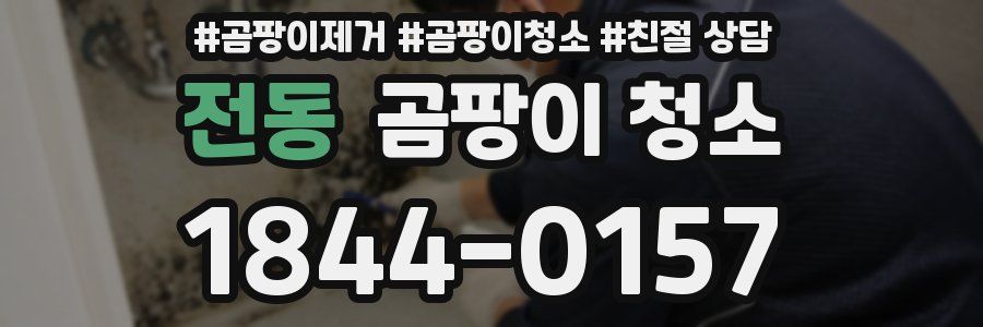 전동 곰팡이 청소