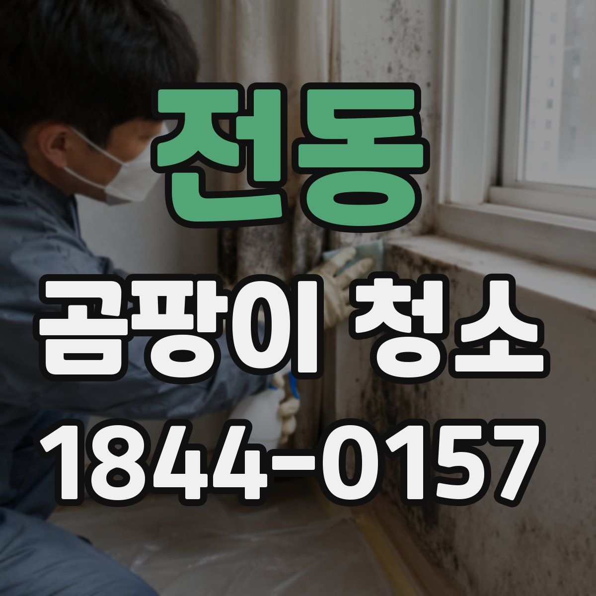 전동 곰팡이 청소