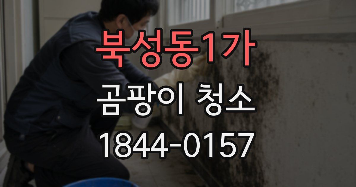 북성동1가 곰팡이 청소
