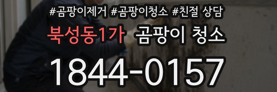 북성동1가 곰팡이 청소