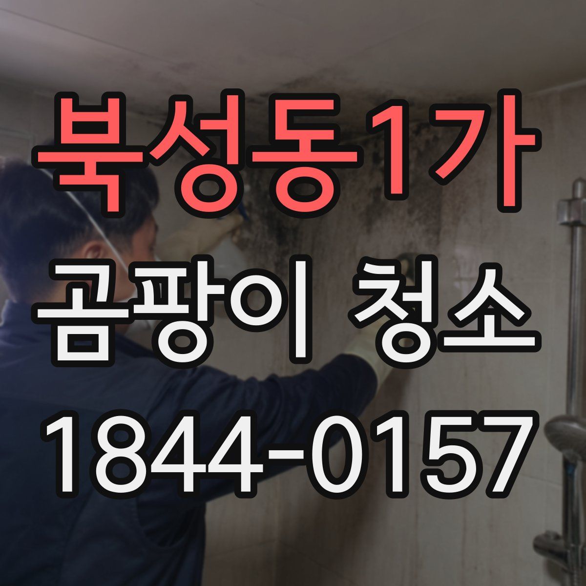 북성동1가 곰팡이 청소