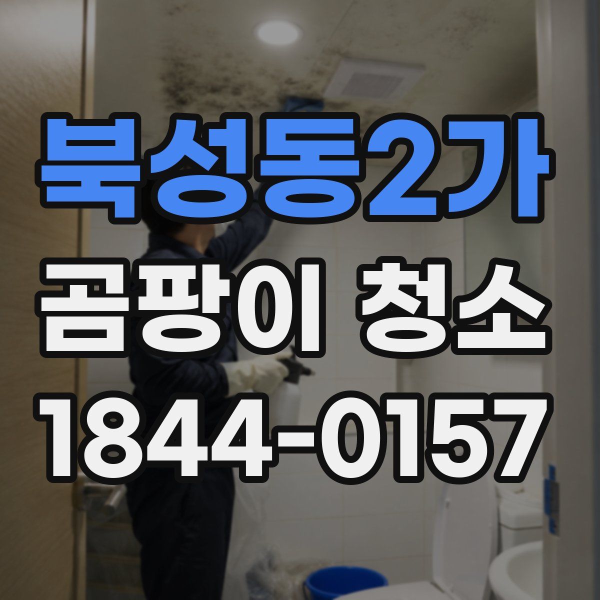 북성동2가 곰팡이 청소