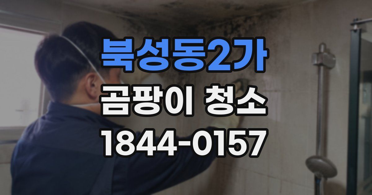 북성동2가 곰팡이 청소