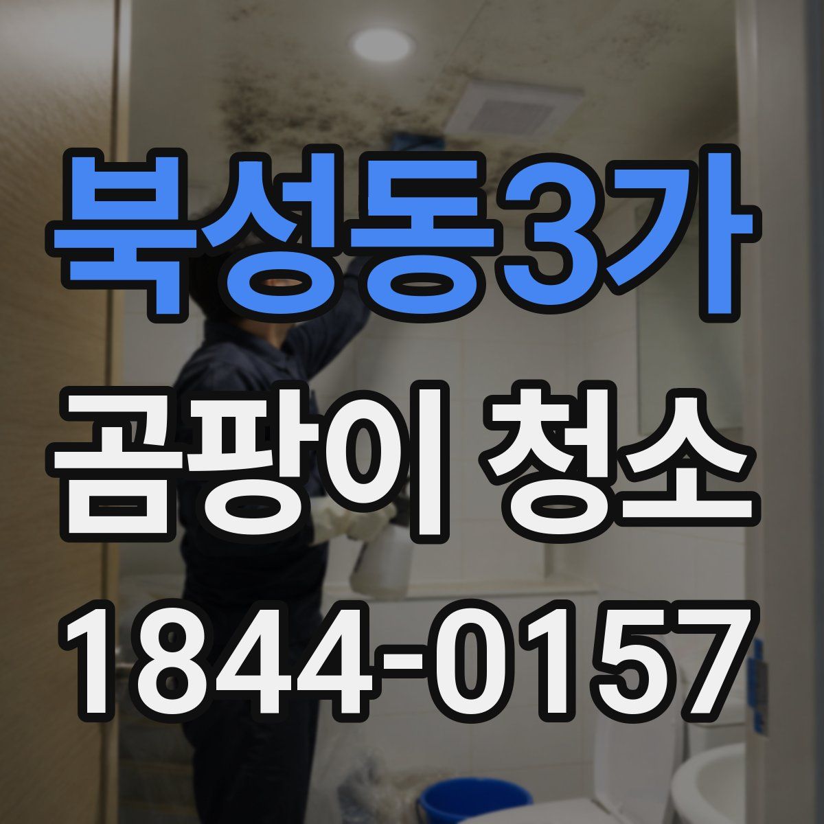 북성동3가 곰팡이 청소