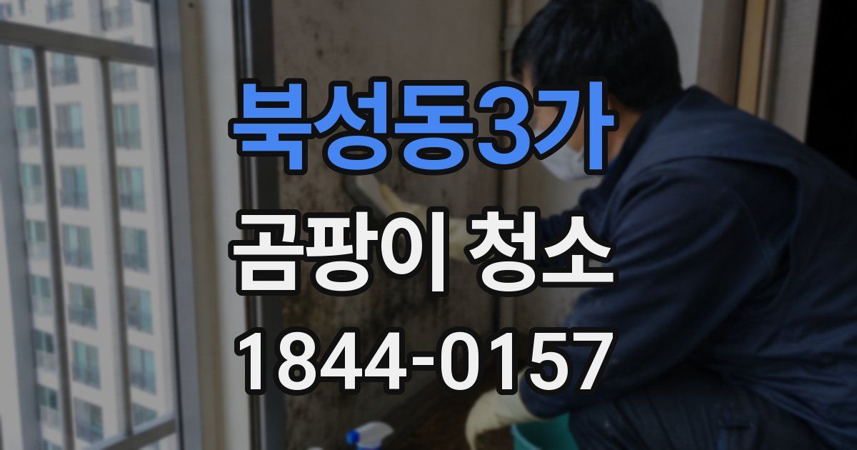북성동3가 곰팡이 청소