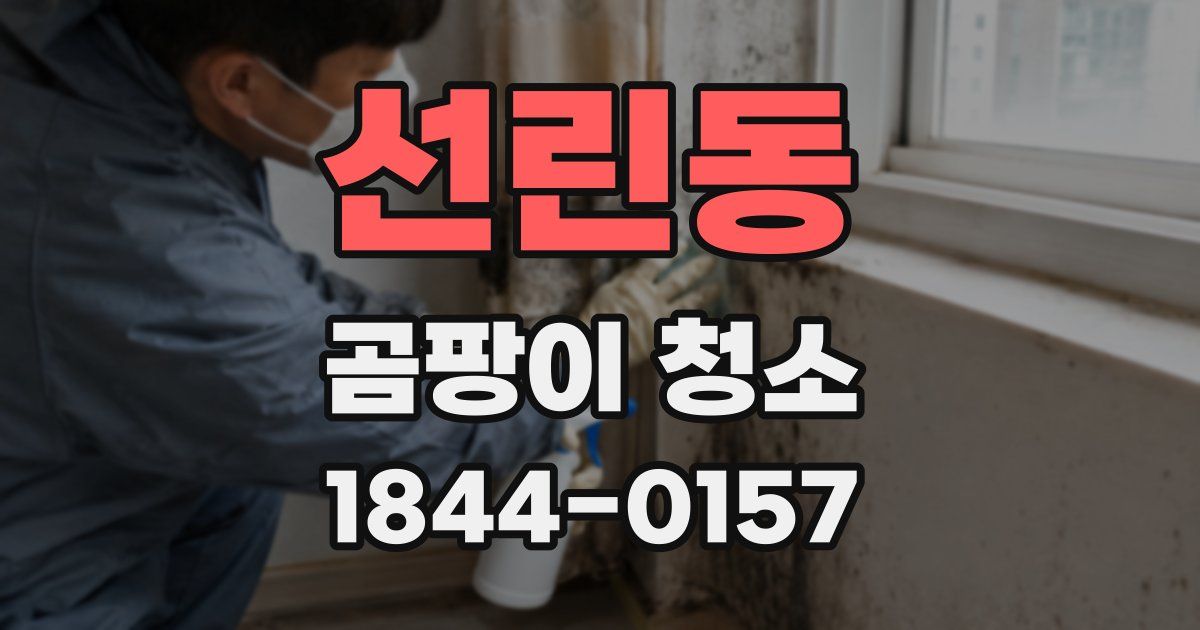 선린동 곰팡이 청소
