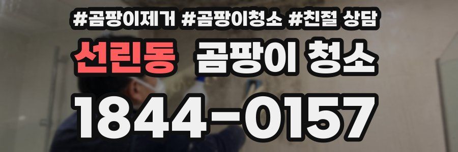 선린동 곰팡이 청소