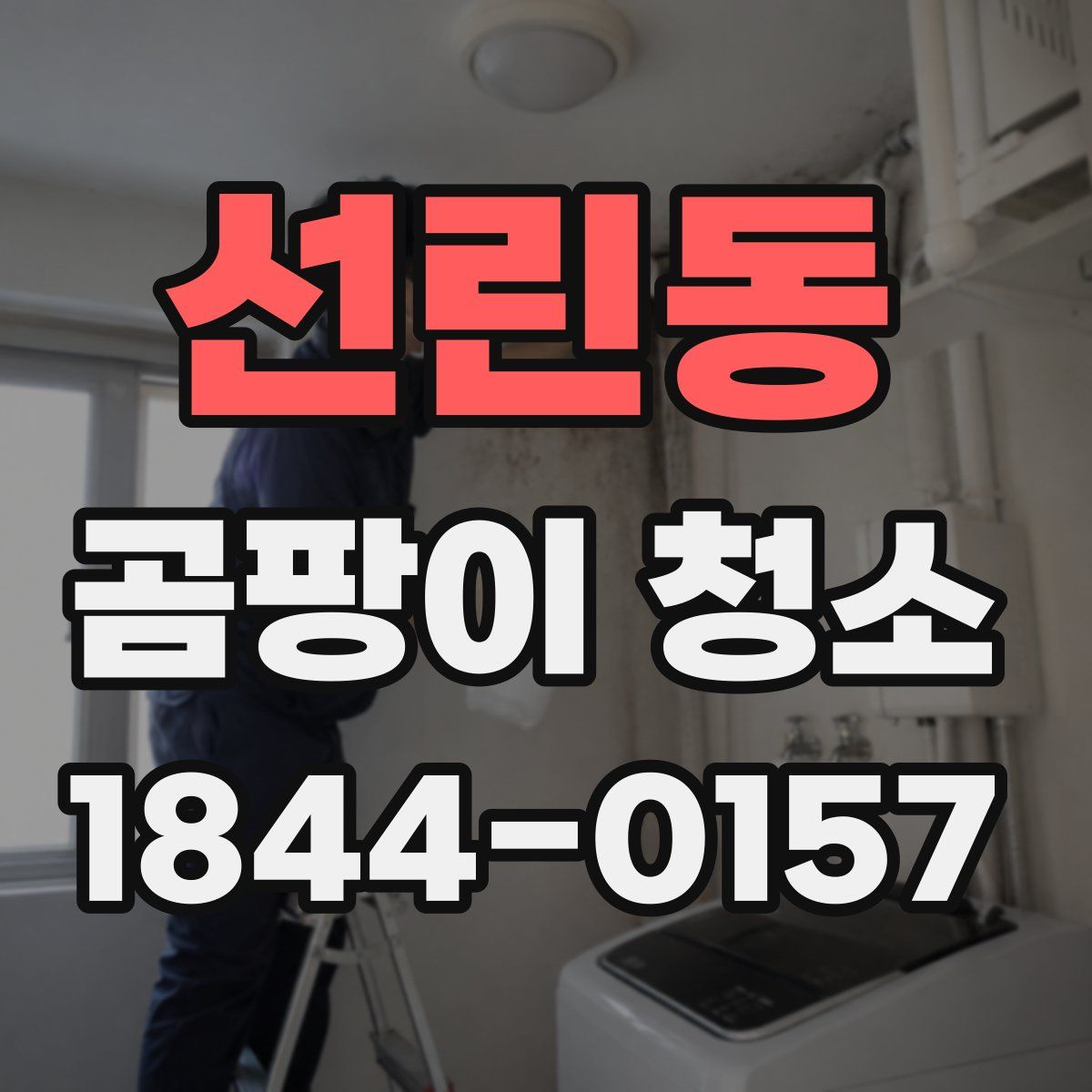 선린동 곰팡이 청소