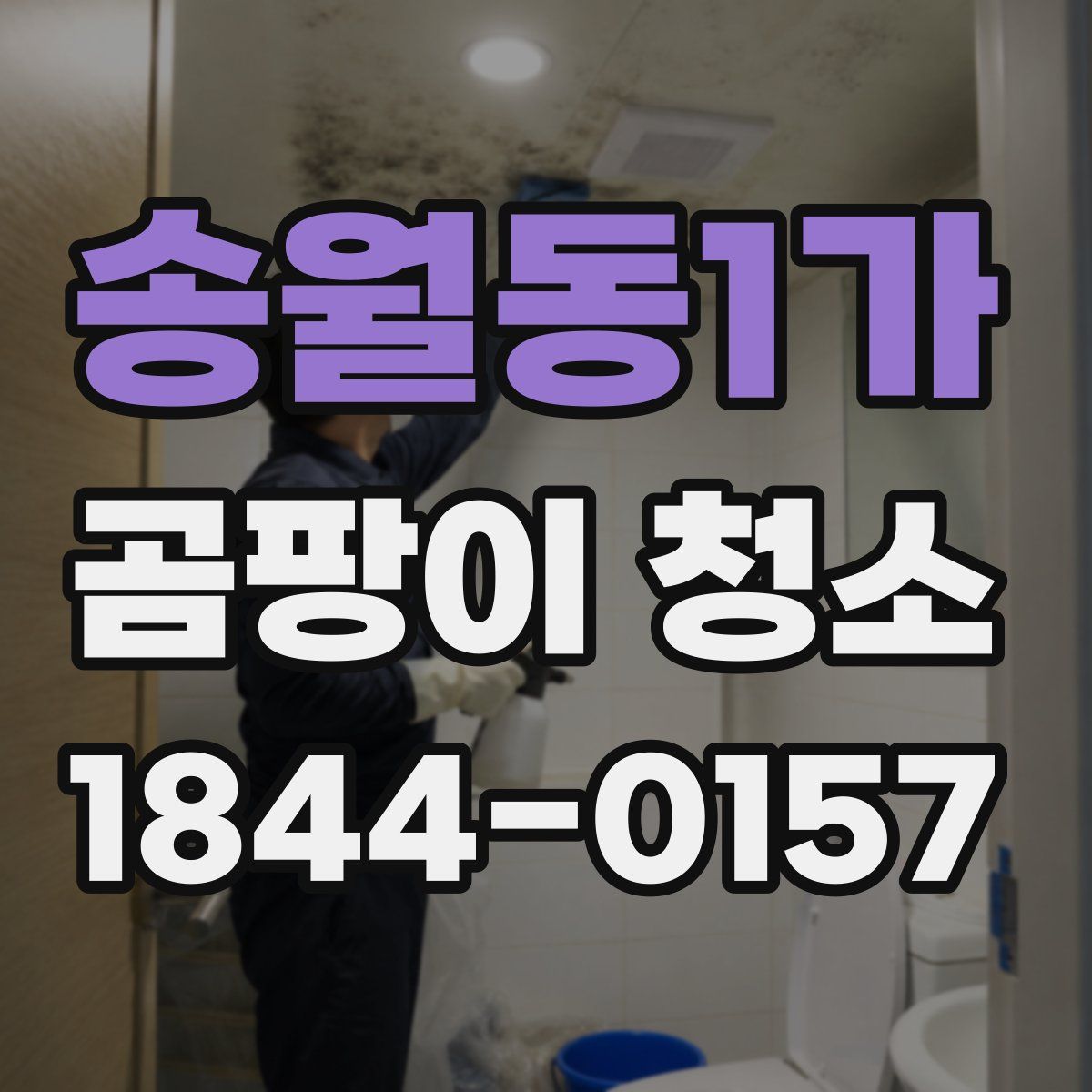 송월동1가 곰팡이 청소