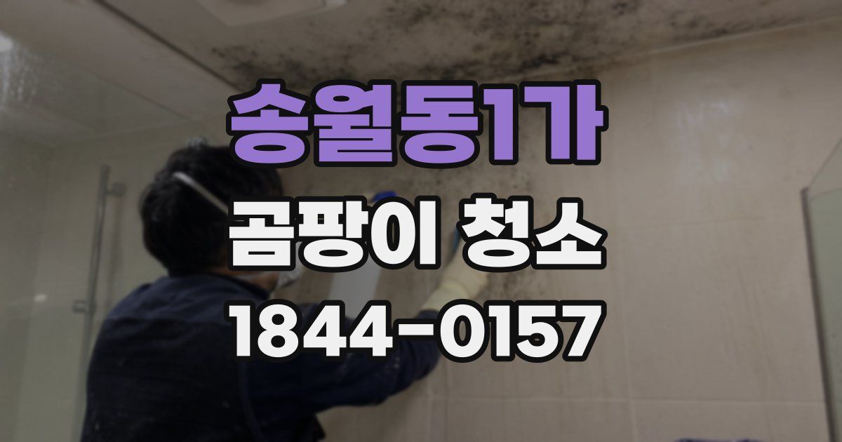 송월동1가 곰팡이 청소