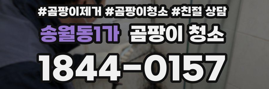 송월동1가 곰팡이 청소