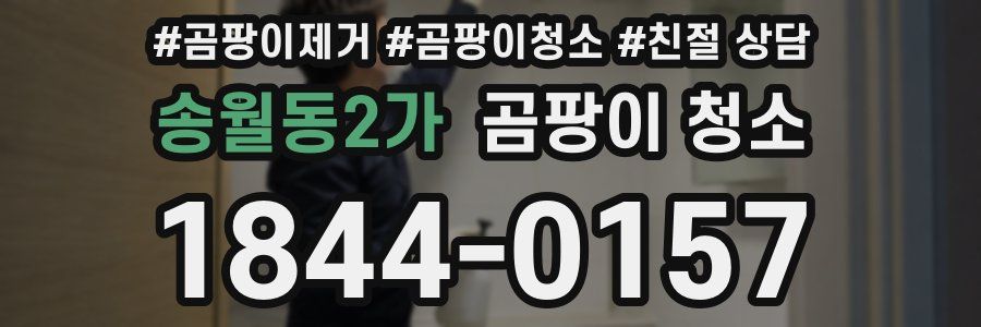 송월동2가 곰팡이 청소