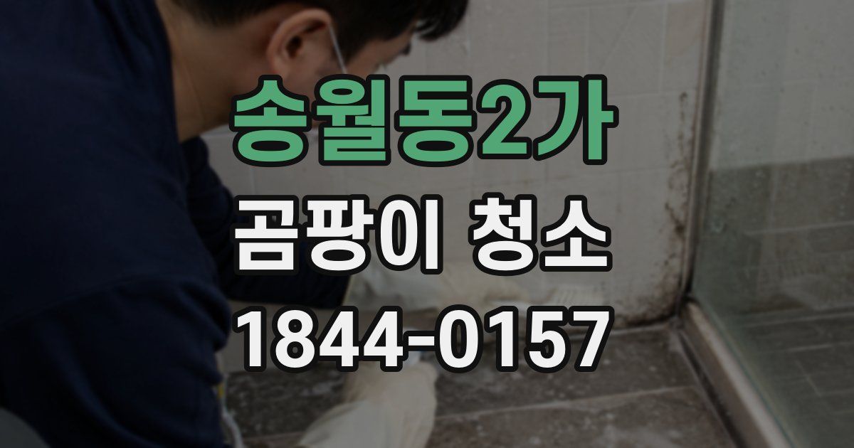 송월동2가 곰팡이 청소