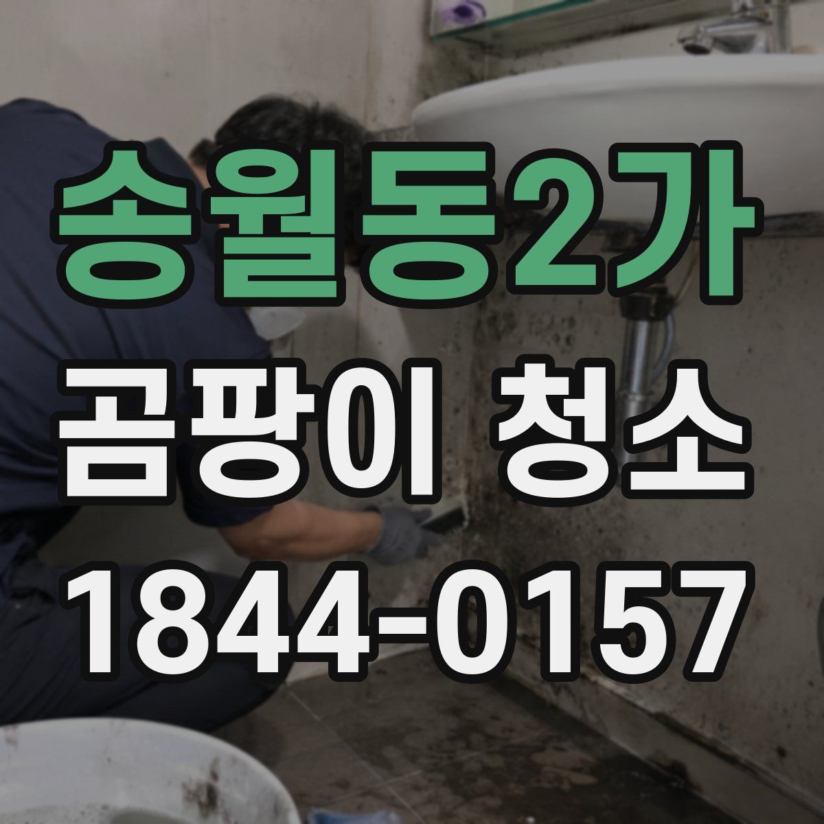 송월동2가 곰팡이 청소