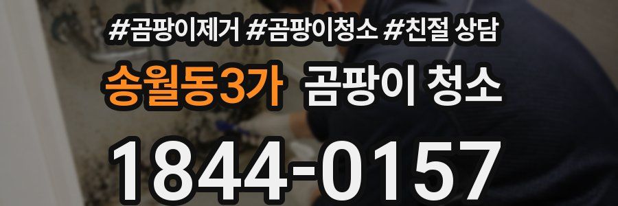 송월동3가 곰팡이 청소