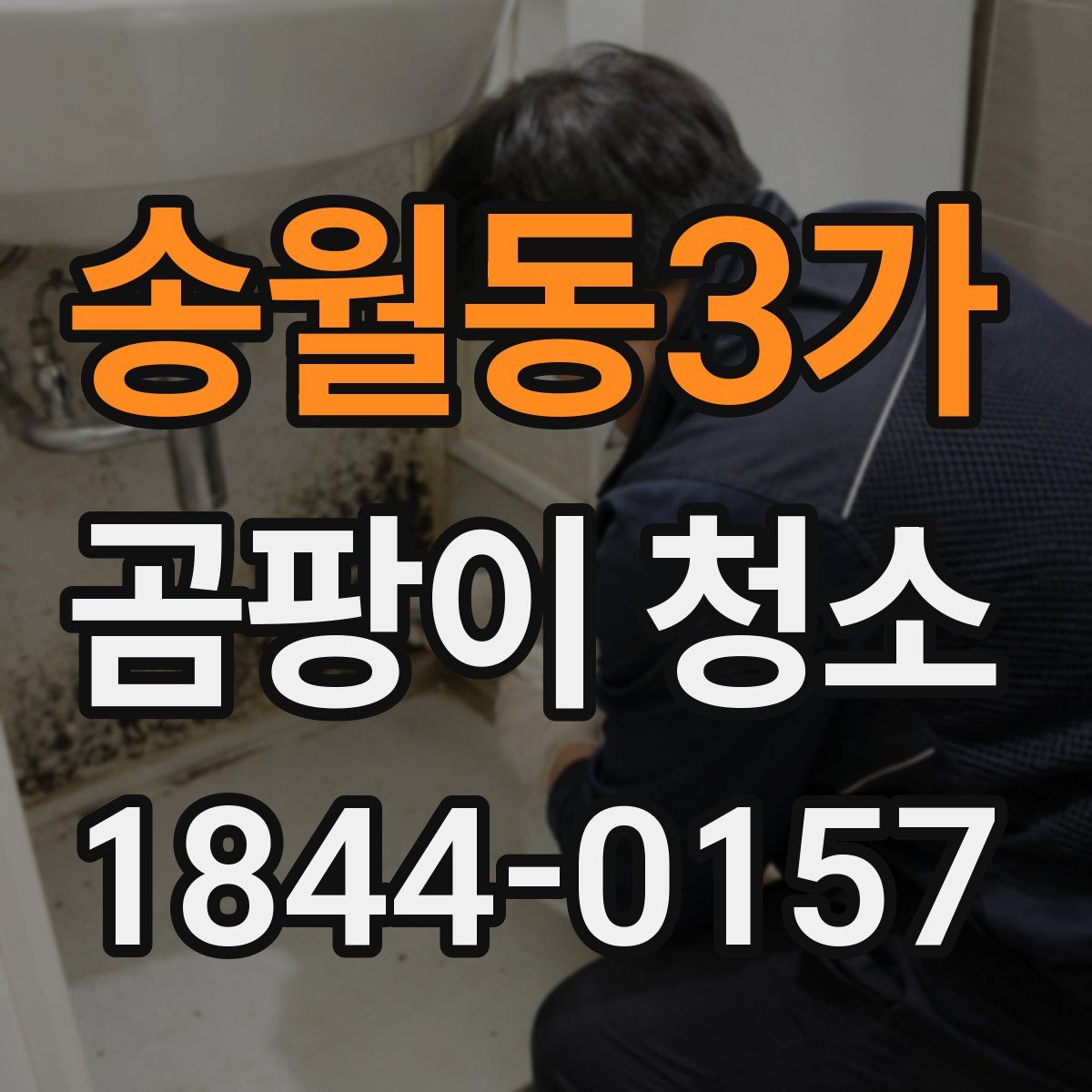 송월동3가 곰팡이 청소