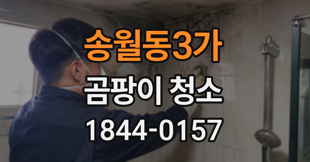 송월동3가 곰팡이 청소