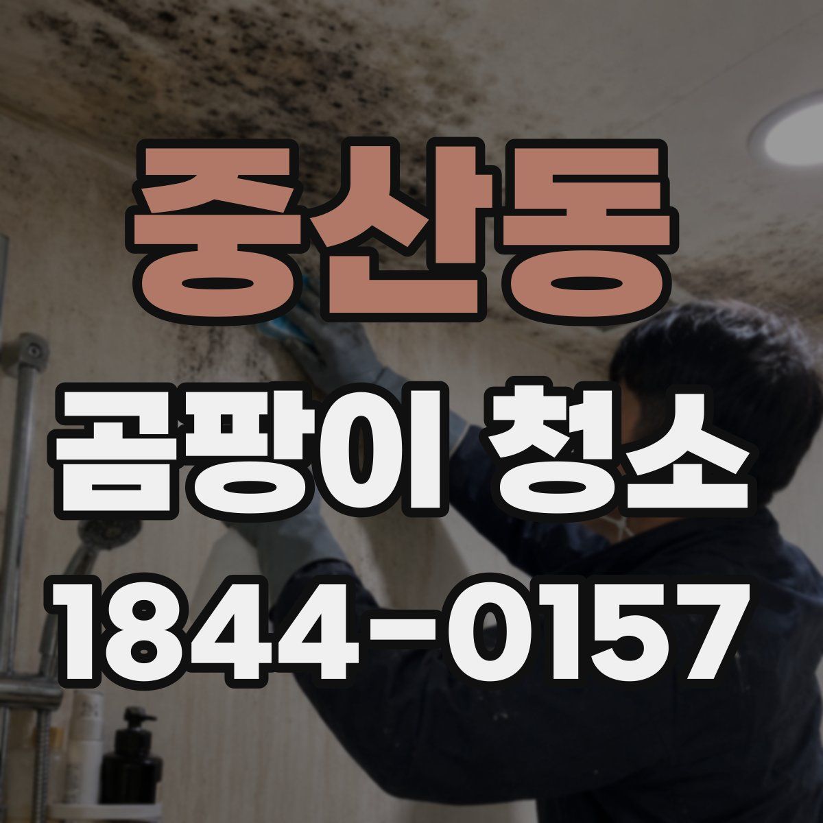 중산동 곰팡이 청소