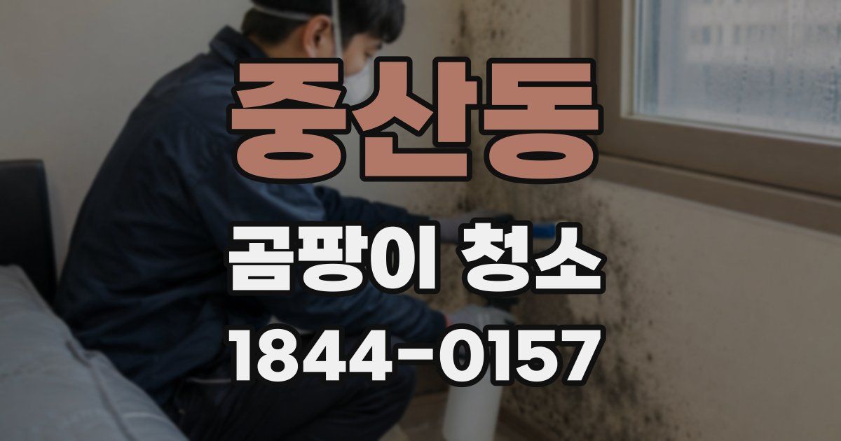 중산동 곰팡이 청소