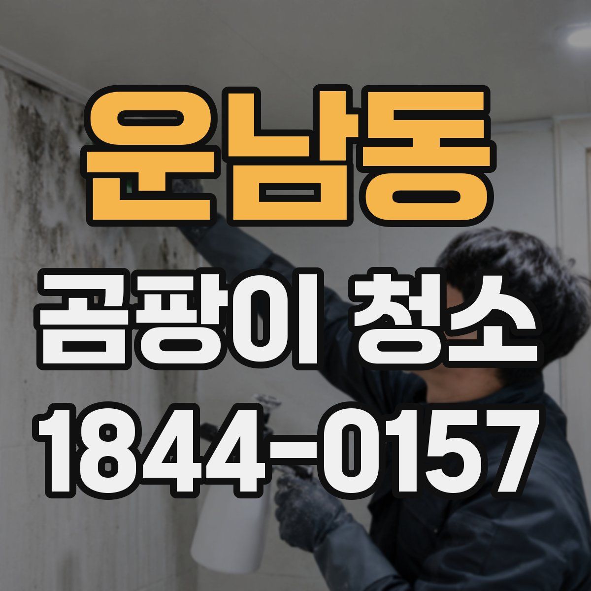 운남동 곰팡이 청소