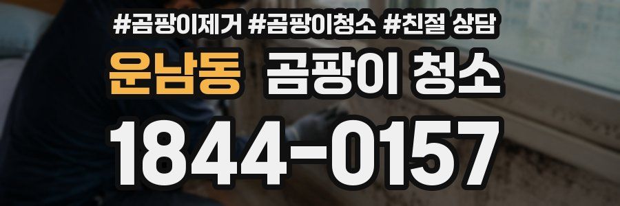 운남동 곰팡이 청소