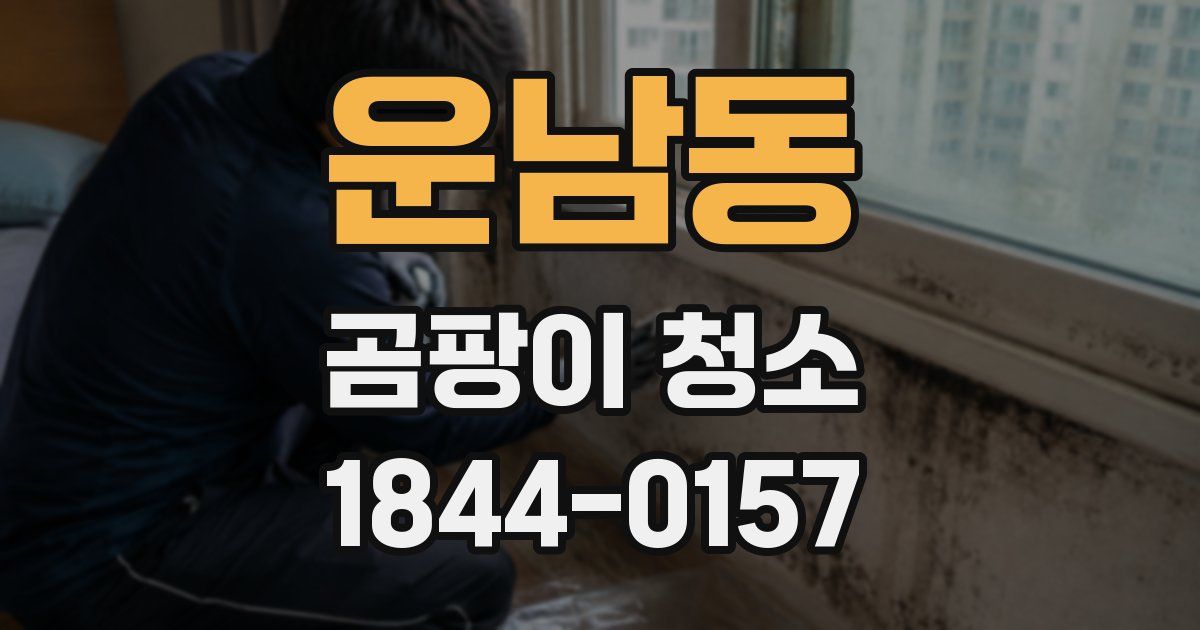 운남동 곰팡이 청소