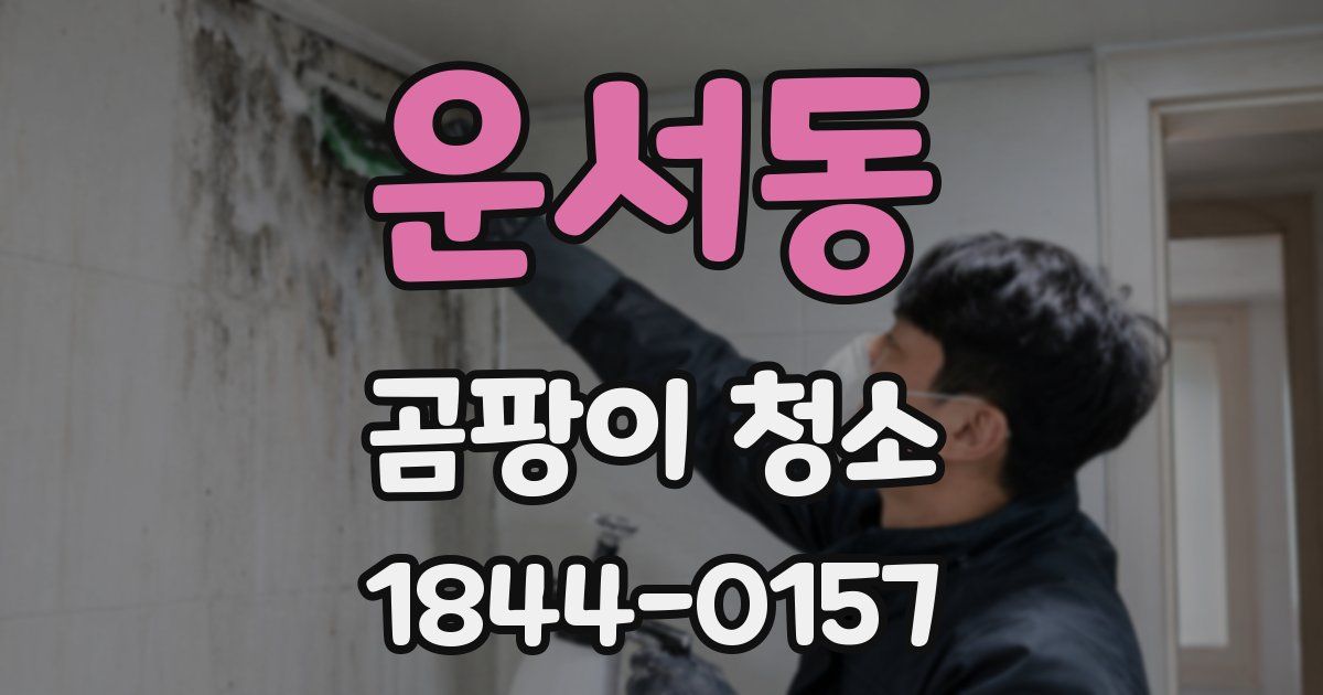 운서동 곰팡이 청소
