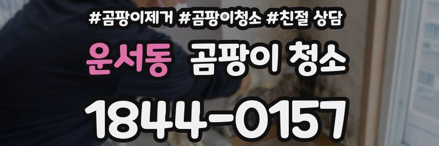 운서동 곰팡이 청소