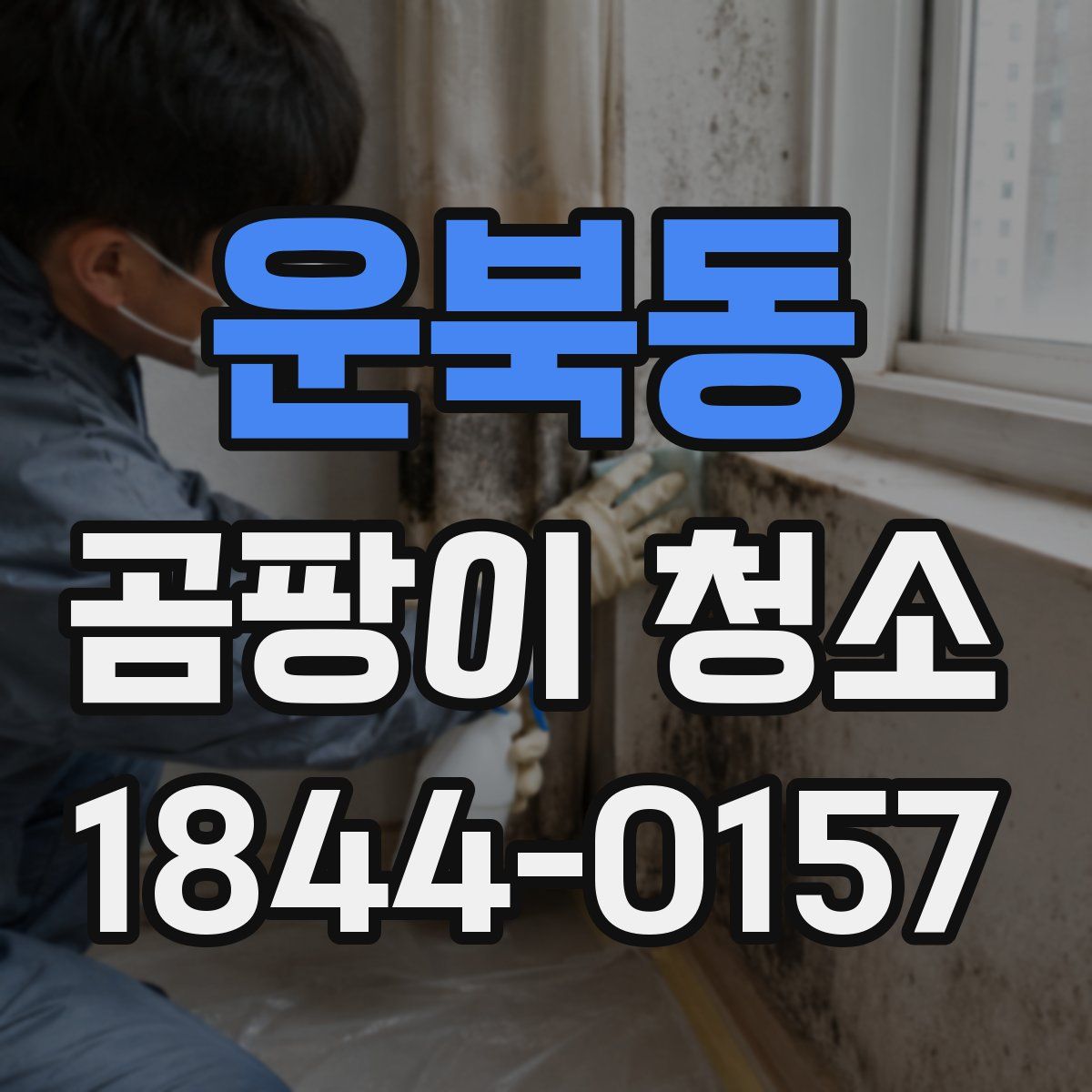 운북동 곰팡이 청소