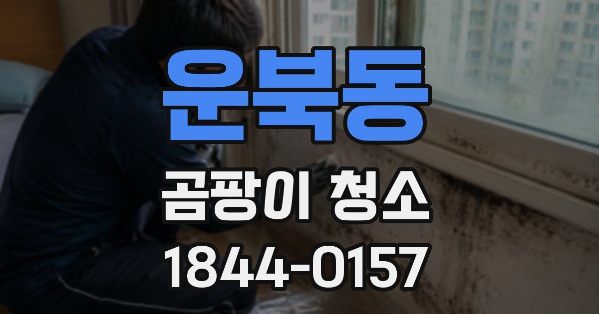 운북동 곰팡이 청소